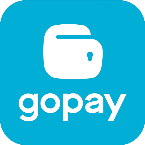 Payment Partner